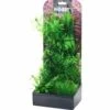 Aquarium Pflanzen Set 4 -Fisch Produkt Angebote Plantasy set 4 5701883349471 p