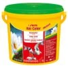 Sera Koi Color Medium 3,8l | 1,1 Kg Teichfischfutter, Koifutter 2 Sera Koi Color Medium 3,8l | 1,1 Kg Teichfischfutter, Koifutter -Fisch Produkt Angebote sera Koi Color Medium 3800 ml 1 1 kg 213504