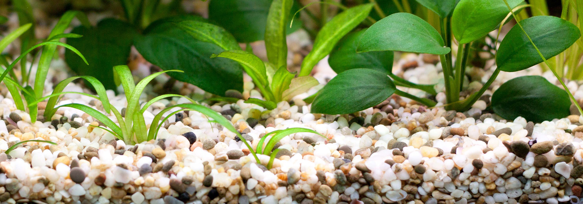 Fisch Produkt Angebote -Fisch Produkt Angebote 1